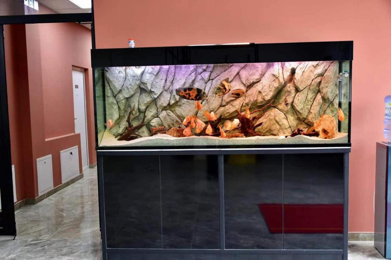 Asuka Apartmani 飞鸟客 Surčin Esterno foto