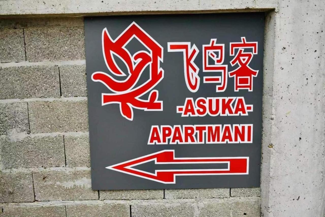 Asuka Apartmani 飞鸟客 Surčin Esterno foto